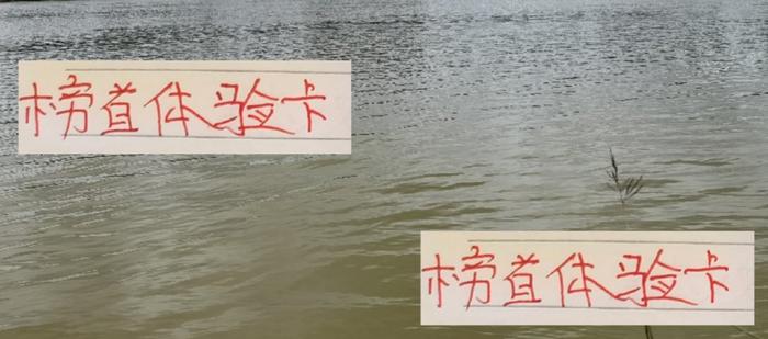 完美世界对战平台-成都“榜首体验卡”还能续费多久 他们是中超8月唯一不败球队